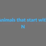 List of animals that start with N