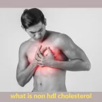 Why High Non-HDL Cholesterol is a Health Concern?